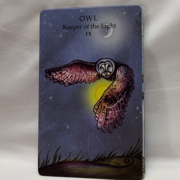 The Animal Wisdom Tarot - Picture 15 of 16